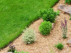 Technique paillage - Entretien jardin hiver